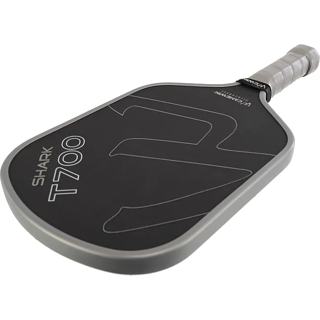 Ракетка для піклболу CAMEWIN PB-00269