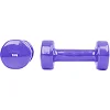 Гантелі вінілові inSPORTline Smoothbell, 2 x 1 кг