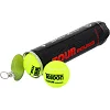 Теннисный мяч
 TELOON POUND 4шт WZT828004