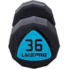 Гантелі професійні
 з поліуретановим покриттям LiveUp LP8003-36 2шт по 36кг