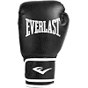 Боксерские перчатки Everlast CORE 2 TRAINING GLOVE черный L/XL