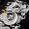 Футболка VENUM Dragons Flight Black White