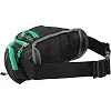 Сумка на пояс через плече бананка TAICHI MS-6814 5л (Чорний-салатовий)