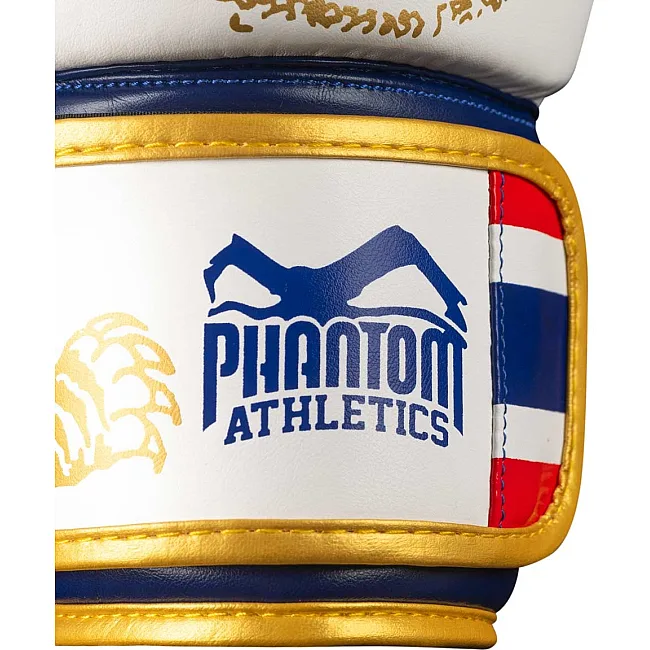 Боксерские перчатки Phantom Muay Thai Gold Limited Edition (капа в подарок)