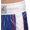 Распродажа! Шорты для бокса мужские EVERLAST ZB-6140 (Красный)