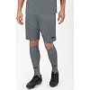 Спортивные шорты manchester 2.0 c104 JAKO 4400-40