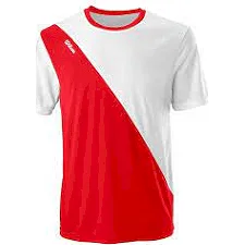 Футболка чоловіча Wilson TEAM II CREW white-red