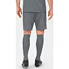 Спортивные шорты manchester 2.0 c104 JAKO 4400-40