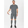 Спортивные шорты manchester 2.0 c104 JAKO 4400-40