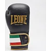 Боксерские перчатки Leone Italy
