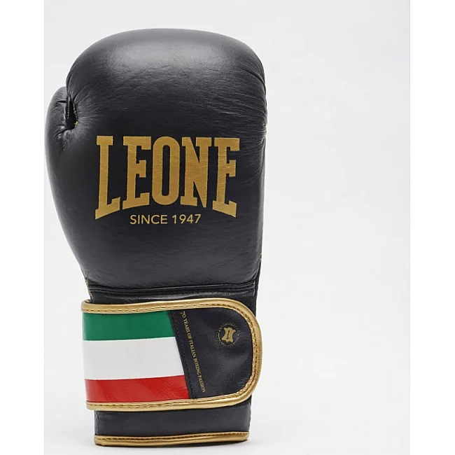 Боксерские перчатки Leone Italy