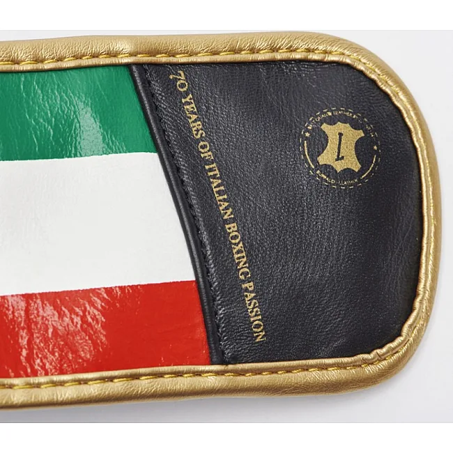 Боксерские перчатки Leone Italy