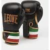 Боксерские перчатки Leone Italy