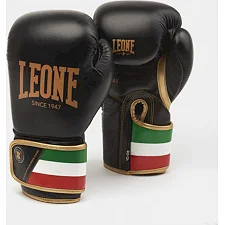 Боксерские перчатки Leone Italy