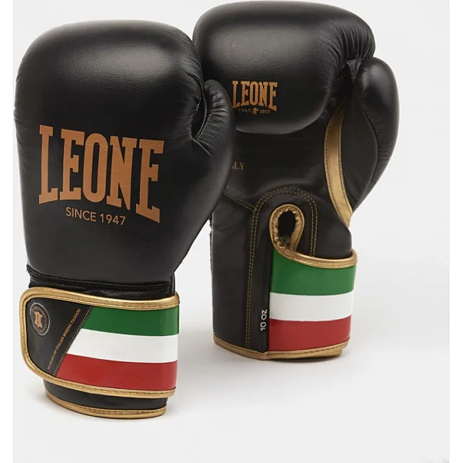 Боксерские перчатки Leone Italy