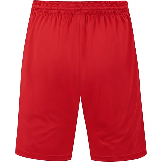 Спортивні шорти Allround JAKO 4499-110