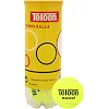 Мячи для большого тенниса TELOON MASICS
OT T801P3 3шт