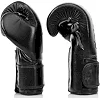 Боксерские перчатки Fairtex BGV14SB Black (бинты в комплекте)