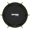 Батут Zipro Jump Pro с внутренней сеткой 8 футов 252 см черно-зеленый