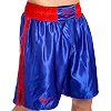 Форма для бокса двусторонняя EVERLAST МА-6010