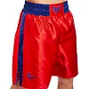 Форма для бокса двусторонняя EVERLAST МА-6010