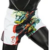 Шорти для Муай Тай FAIRTEX BS190 см 8 Satoru Collection White