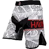 Шорти MMA Hayabusa Flex Fight - White