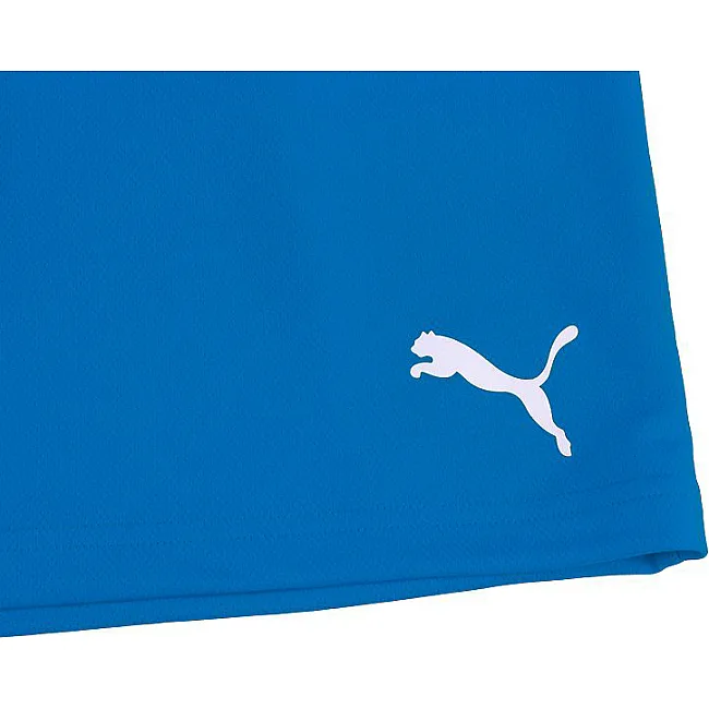 Спортивные детские шорты Puma teamRISE Short Jr синий
