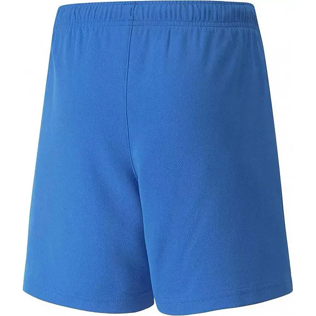Спортивные детские шорты Puma teamRISE Short Jr синий
