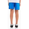 Спортивные детские шорты Puma teamRISE Short Jr синий