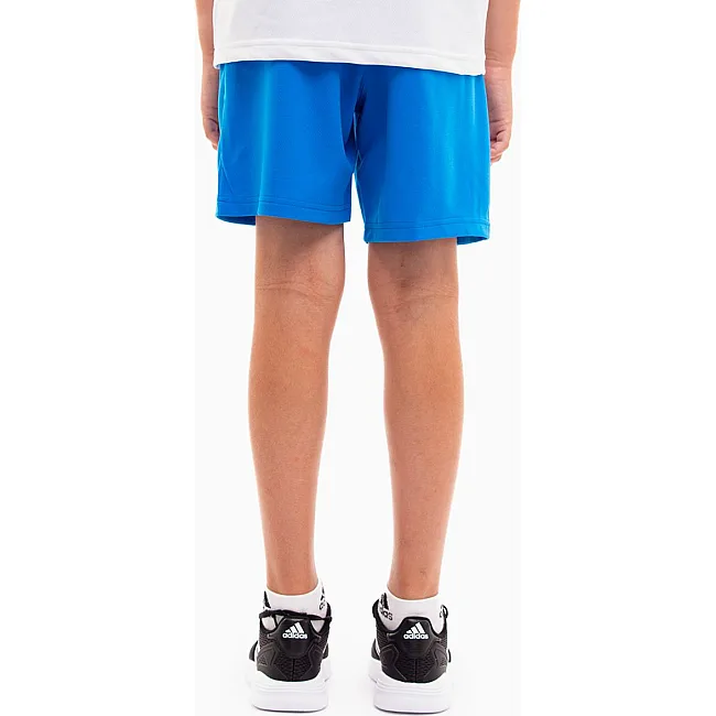 Спортивные детские шорты Puma teamRISE Short Jr синий