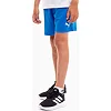 Спортивные детские шорты Puma teamRISE Short Jr синий