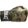 Боксерські рукавиці Everlast SPARK TRAINING GLOVE чорний, коричневий 10 унцій