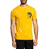 Футболка AFFLICTION Blackbird A24542 Gold Constrution