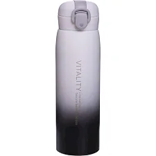Спортивна пляшка-термос VITALITY SP-SPORT FI-2832 500мл