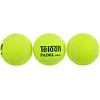 Мячи для падел тенниса TELOON PADEL PRO+ WZPA818003-PRO TP-8183 3шт
