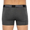 Труси-боксери PUMA BIG LOGO AOP BOXER 2P чоловічі