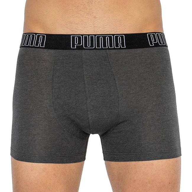 Труси-боксери PUMA BIG LOGO AOP BOXER 2P чоловічі