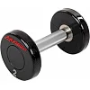Гантель профессиональная с полиуретановым покрытием LIFE FITNESS SC-80081-2 1шт 2кг