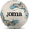 Футбольний м'яч JOMA DALI IV 401954-211-T5 (Білий-сірий)