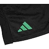 Шорти Adidas WBC Boxwear Tech Shorts (чорний) ADIWBCSH01
