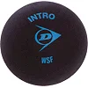 Мяч для сквоша DUNLOP INTERO DL700105
 1шт