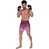 Шорти для кікбоксингу
 FAIRTEX BS1904 BLACK/WINE