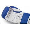 Боксерские перчатки для тренировок TITLE Pro Style Leather 3.0 Blue