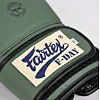 Рукавиці для боксу FAIRTEX F-Day BGV11 Limited Edition