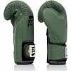Рукавиці для боксу FAIRTEX F-Day BGV11 Limited Edition