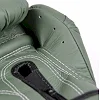 Рукавиці для боксу FAIRTEX F-Day BGV11 Limited Edition