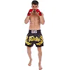 Шорти для кікбоксингу FAIRTEX BS0646