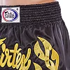 Шорти для кікбоксингу FAIRTEX BS0646
