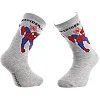 Шкарпетки SPIDER MAN SPIDERMAN дитячі арт 83899920-2